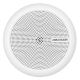 Hikvision DS-2FP2061