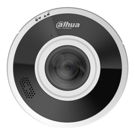 Dahua IPC-EBW5641P-AS 